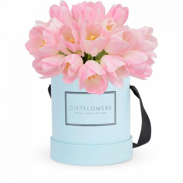 Wooden single drawer